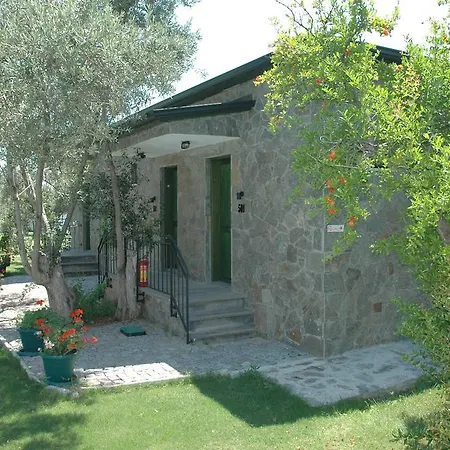 Assos Oleas 4*
