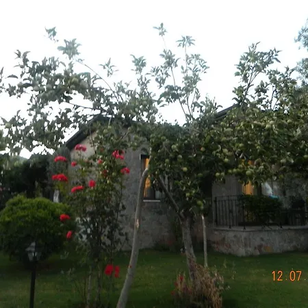 Assos Oleas Ayvacik (Canakkale)