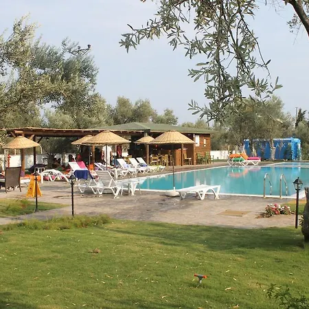 Assos Oleas Ayvacik (Canakkale)