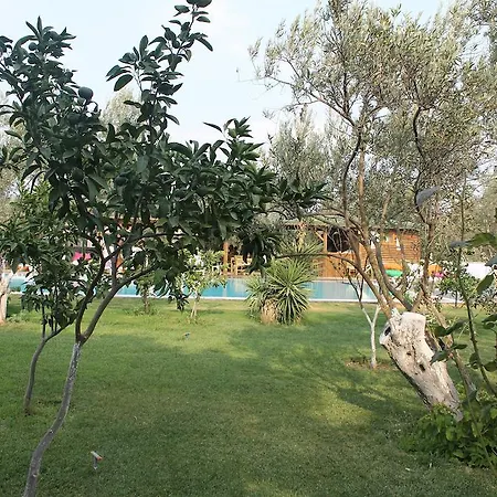 Hotel Assos Oleas
