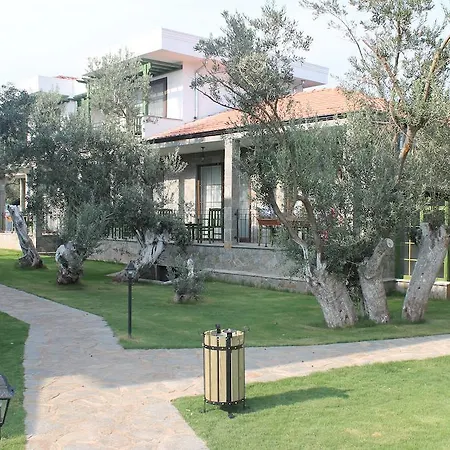 Assos Oleas Ayvacik (Canakkale)