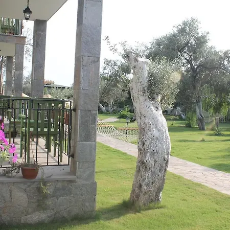 Assos Oleas Ayvacik (Canakkale)