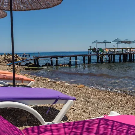 Assos Oleas