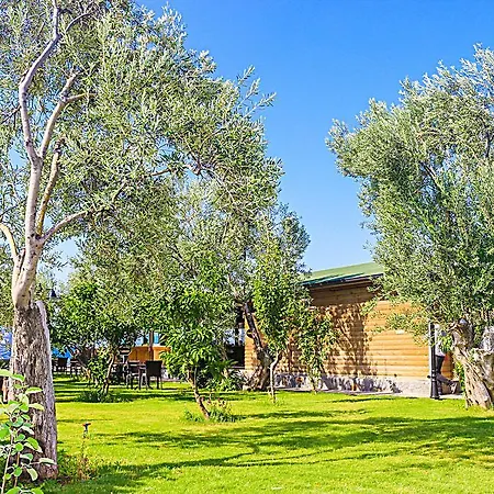 فندق Assos Oleas 4*