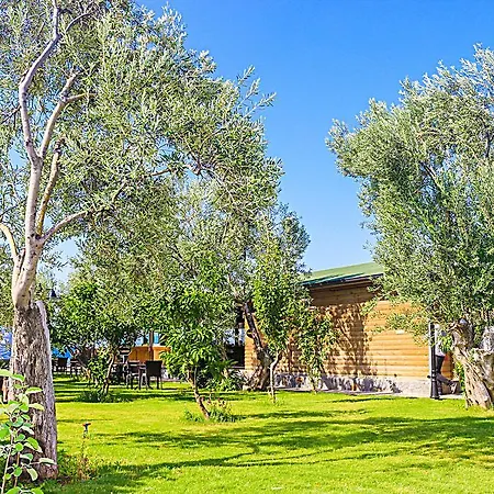 Hotel Assos Oleas 4*