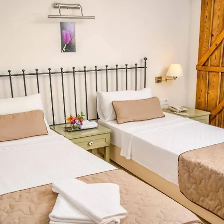 Hotel Assos Oleas 4*