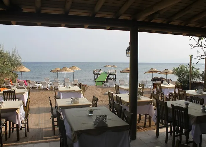 호텔 Assos Oleas Ayvacik (Canakkale)