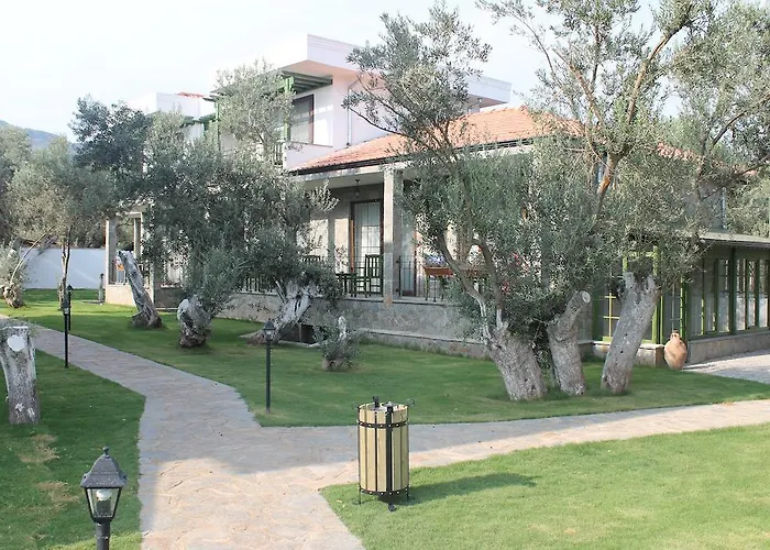 Assos Oleas Ayvacik (Canakkale)