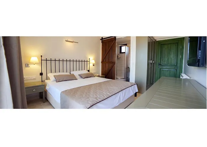 호텔 Assos Oleas 4*