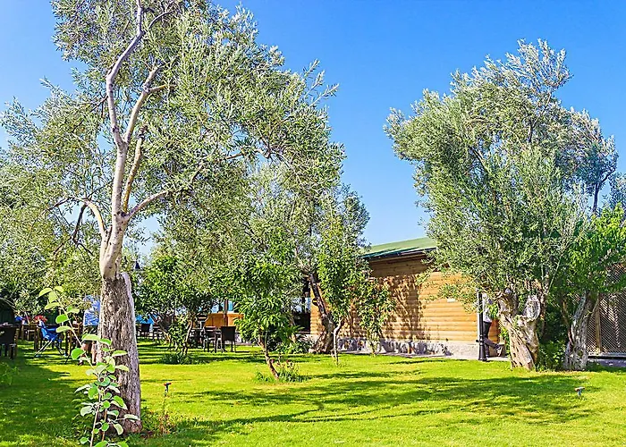 호텔 Assos Oleas 4*